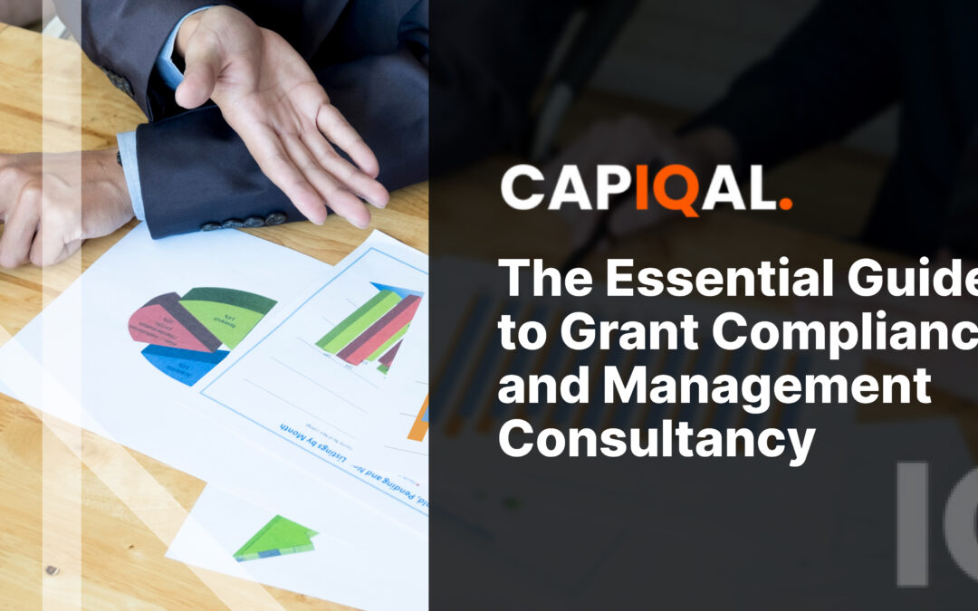 The Essential Guide to Grant Compliance and Management Consultancy