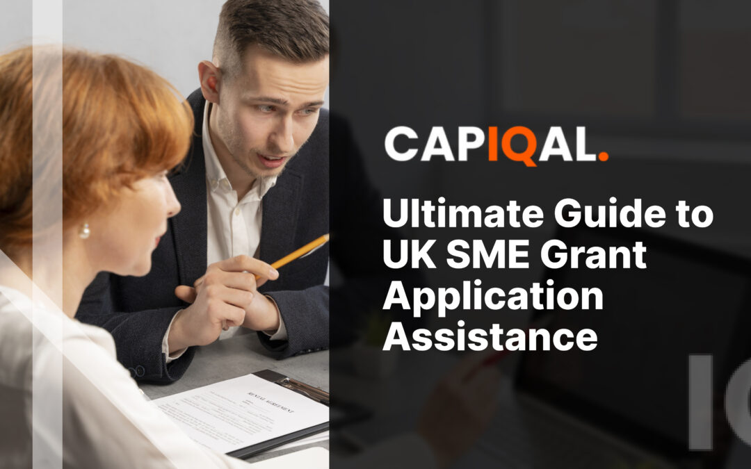 Ultimate Guide to UK SME Grant Application Assistance