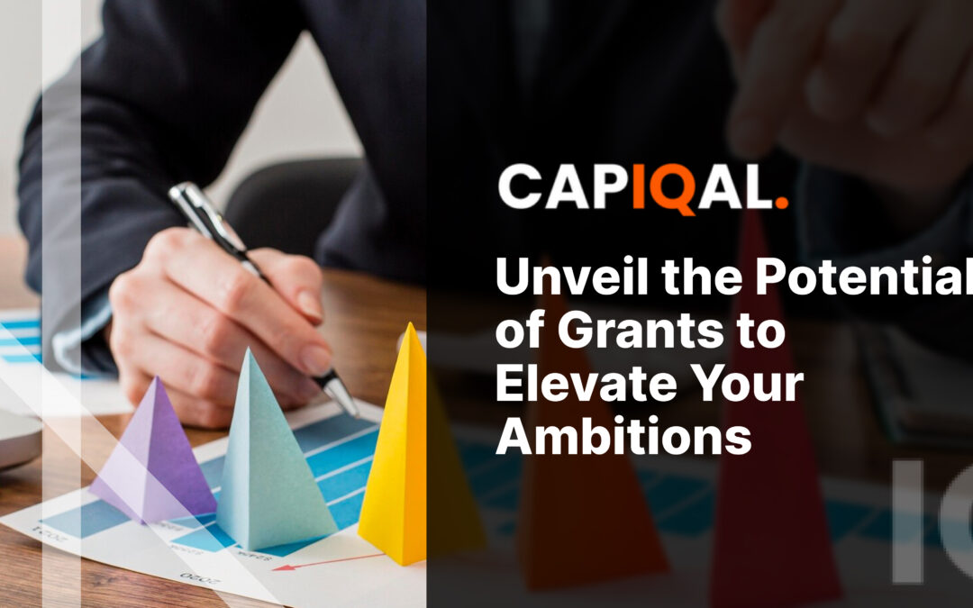 Unveil the Potential of Grants to Elevate Your Ambitions