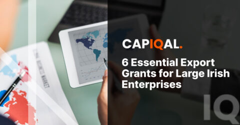 6 Essential Export Grants for Large Irish Enterprises