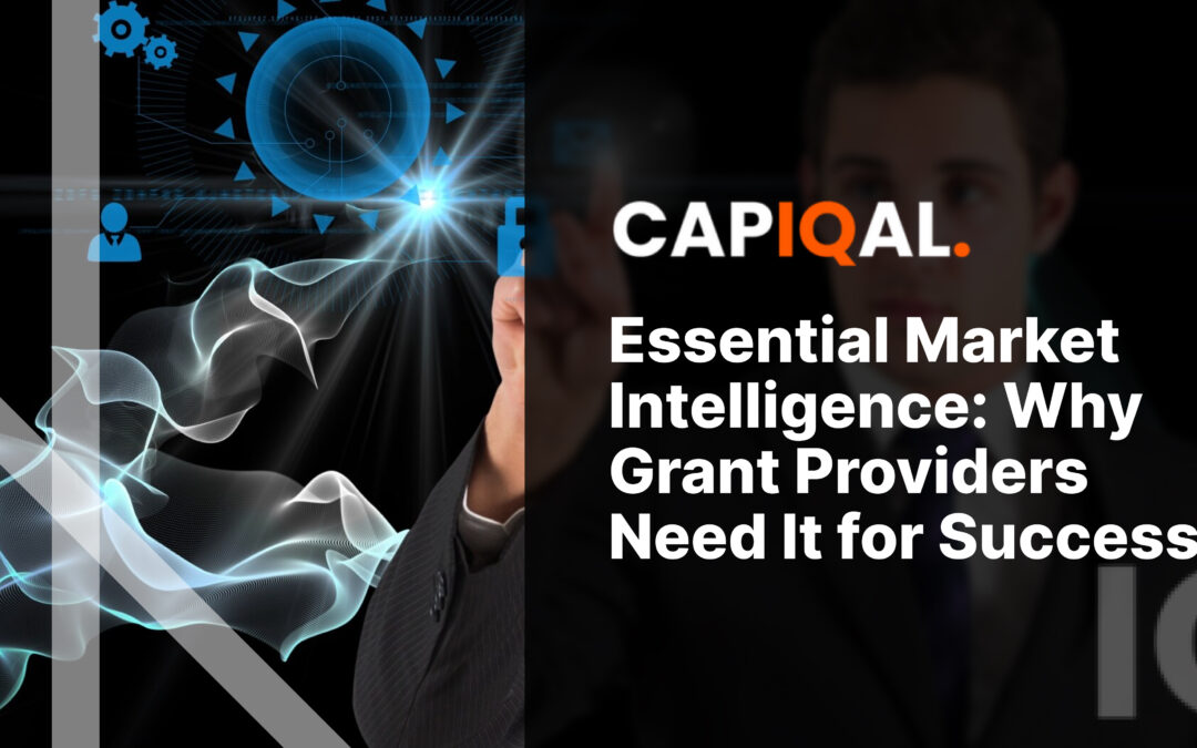 Essential Market Intelligence: Why Grant Providers Need It for Success