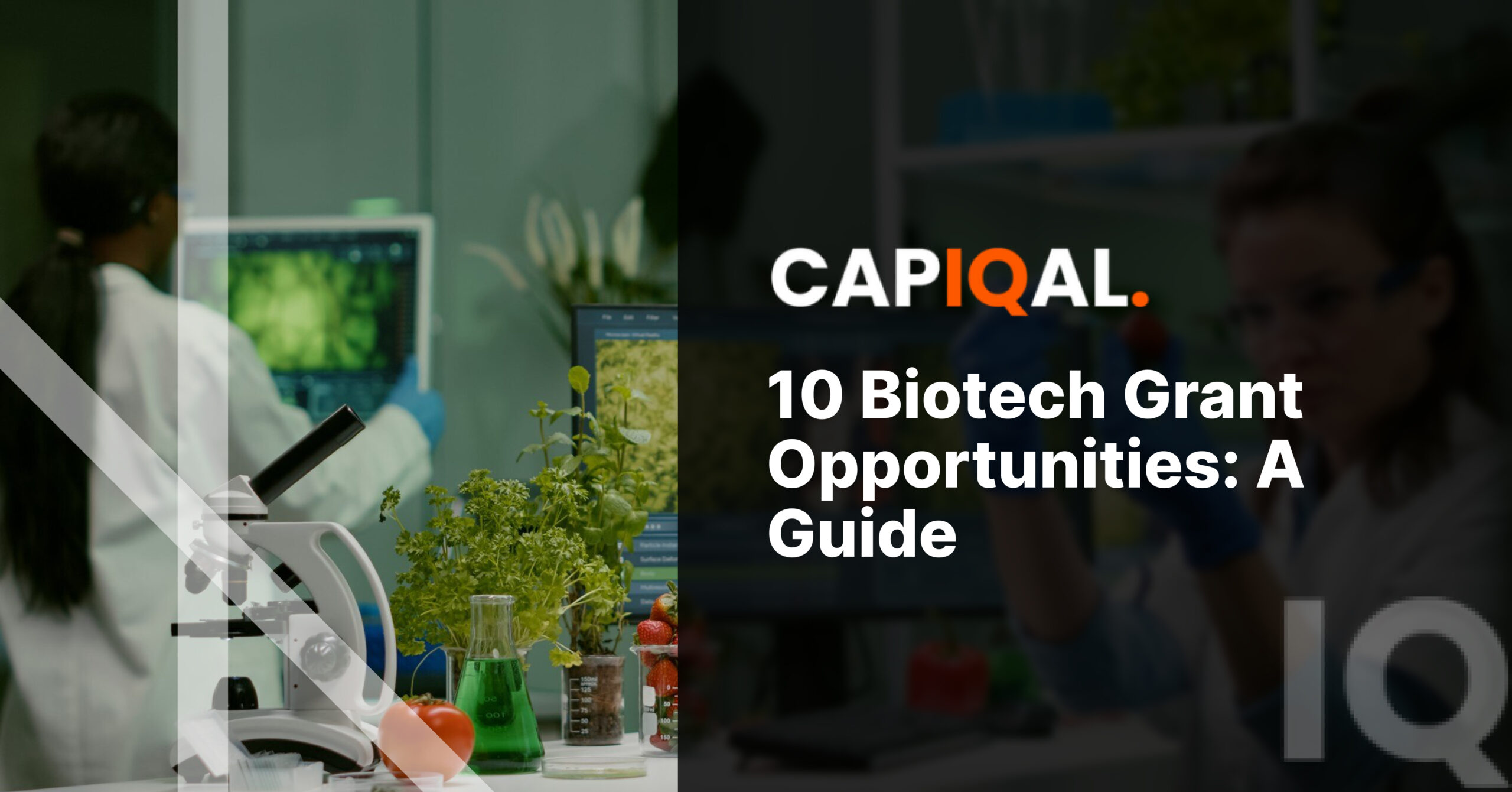 10 Biotech Grant Opportunities: A Guide