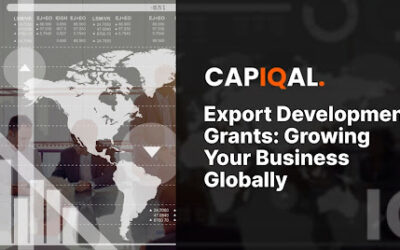 Export Development Grants: Growing Your Business Globally
